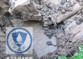 双辽水管漏水检测公司5